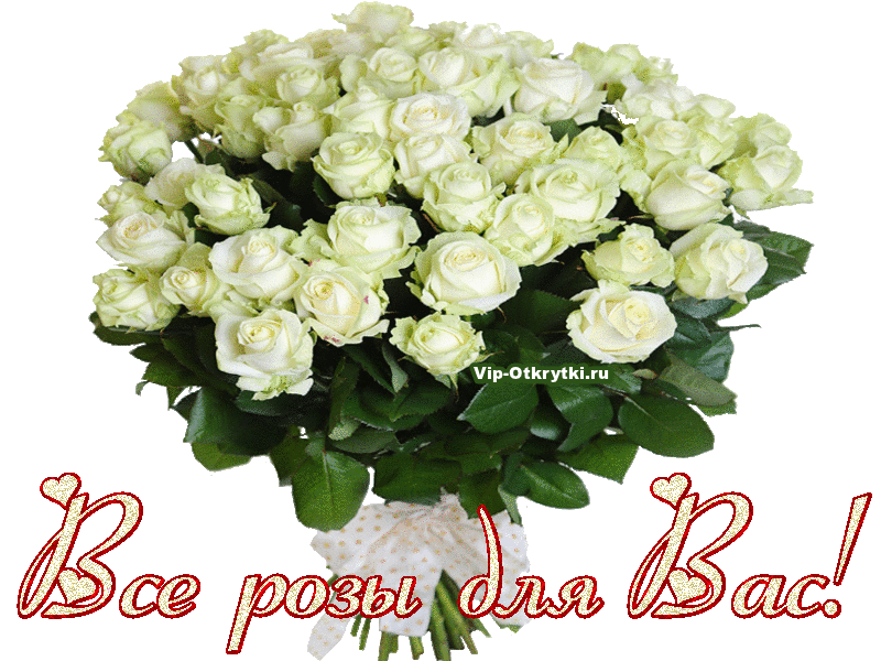 букет белых роз