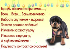 С Новым годом Собаки