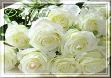 Красивые белые розы для тебя