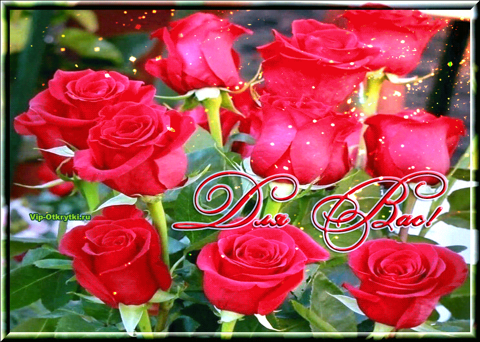 Плейкаст с добрыми надписями букет роз