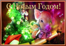 Новогодняя открытка с годом свиньи