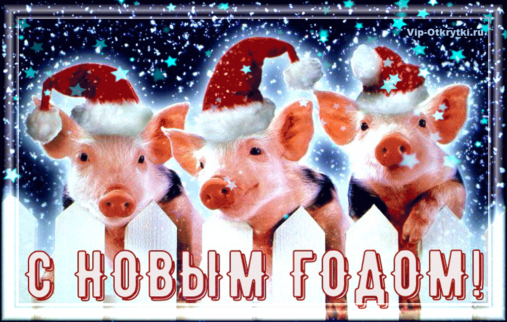 Музыкальное поздравление С Новым годом свиньи