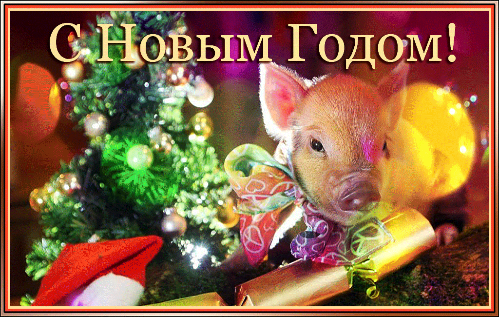 Новогодняя открытка с годом свиньи