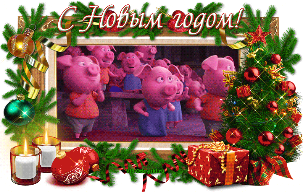 Радости в год свиньи