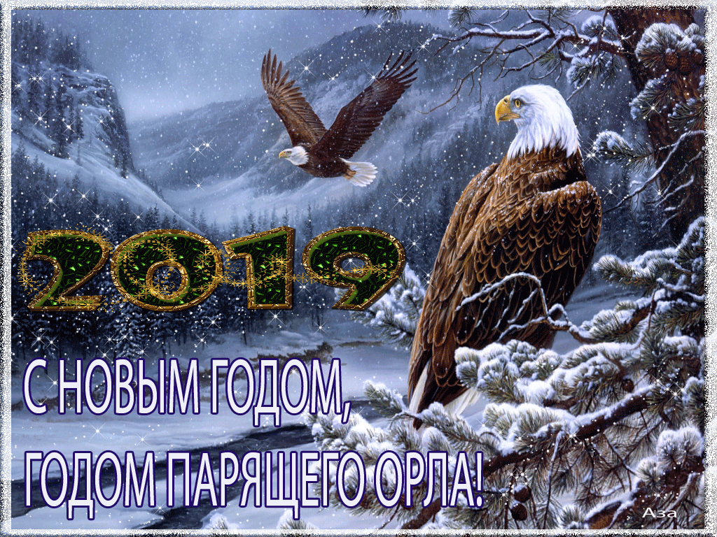 С Новым 2019 годом парящего орла