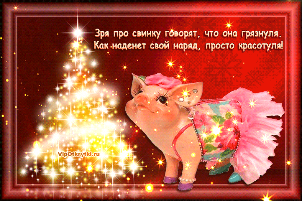 С праздником Нового года свиньи