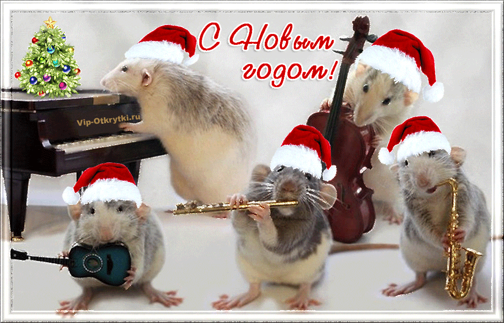 Музыкальное поздравление с Новым годом крысы
