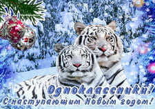 Одноклассники с наступающим годом тигра