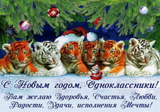 Одноклассники, с Новым годом тигра