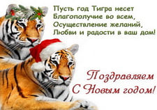 Поздравляем с Новым годом тигра