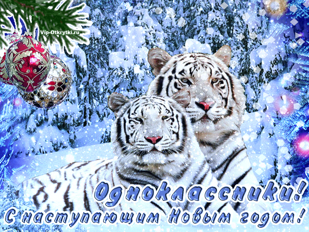 Одноклассники с наступающим годом тигра