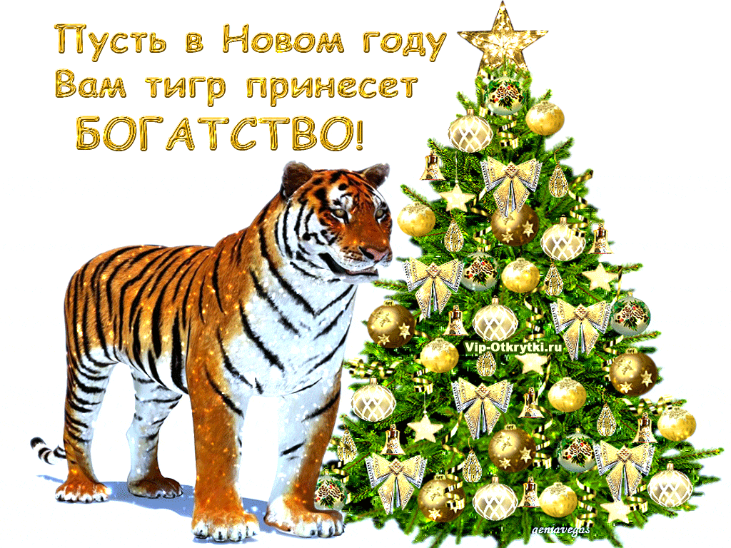 Всем богатства в Новом году тигра