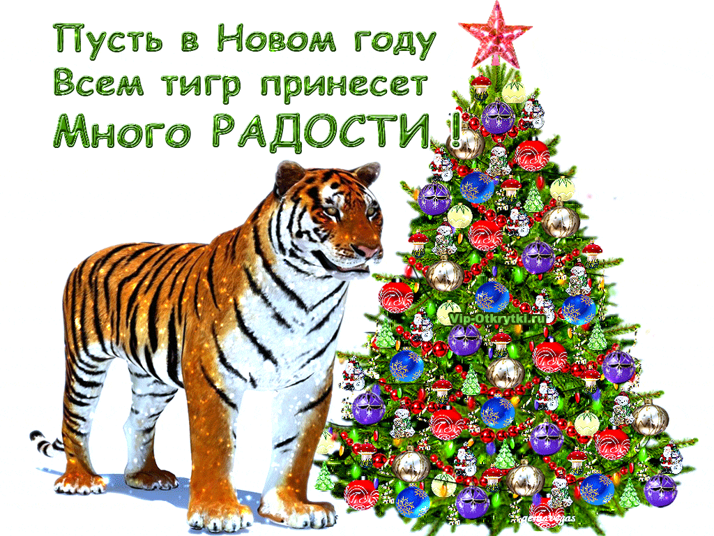 Всем много радости в Новом году тигра